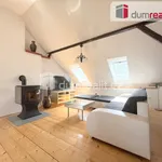 Rent 1 bedroom house of 676 m² in Brloh