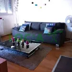 Appartement de 37 m² avec 2 chambre(s) en location à Villeurbanne