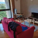 Rent 2 bedroom apartment of 40 m² in Genoa