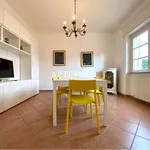 Rent 4 bedroom house of 80 m² in Pietrasanta