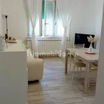 Rent 3 bedroom apartment of 88 m² in Grosseto