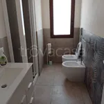 Rent 1 bedroom house of 55 m² in Marsala