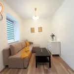 Rent 1 bedroom apartment of 25 m² in Chorzów