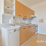 Rent 4 bedroom apartment of 78 m² in Brno