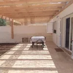 Rent 7 bedroom house of 75 m² in Avetrana