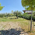 Rent 3 bedroom apartment of 89 m² in Frascati