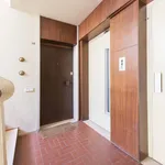 Alugar 5 quarto apartamento em Lisbon