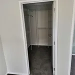 Rent 4 bedroom house in Tauranga