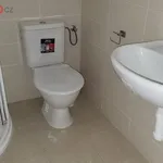 Rent 1 bedroom apartment of 22 m² in Trhový Štěpánov