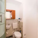 Rent 1 bedroom apartment in Turin