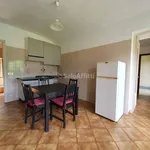 Rent 2 bedroom apartment of 44 m² in Rubiana