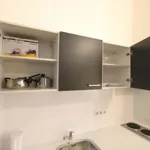 Rent 1 bedroom apartment of 517 m² in vienna