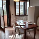 Rent 3 bedroom apartment of 50 m² in Rosignano Marittimo