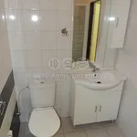 Rent 1 bedroom apartment of 30 m² in Ostrava