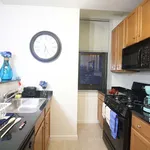 Rent 1 bedroom apartment in Financial District