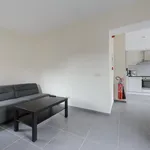 Rent 1 bedroom apartment in Leuven