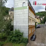 Pronajměte si 2 ložnic/e byt o rozloze 51 m² v Karlovy Vary