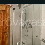 Rent 3 bedroom apartment of 70 m² in Bologna