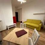 Rent 1 bedroom apartment of 40 m² in Rome