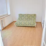 Rent 1 bedroom house of 282 m² in Capital City of Prague