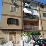 4-room flat Mughetti San C., Villapiana Lido, Villapiana