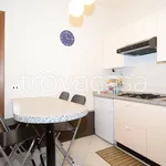 Rent 2 bedroom apartment of 49 m² in Biella