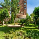 Rent 1 bedroom house in Madrid