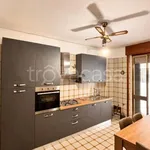 Rent 2 bedroom apartment of 110 m² in Gallipoli