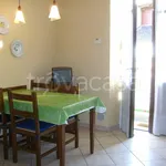 Rent 2 bedroom apartment of 40 m² in Torino