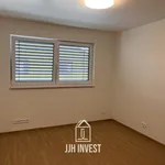 Rent 1 bedroom house of 150 m² in Capital City of Prague