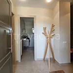 Rent 5 bedroom house of 260 m² in Matera