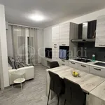 Rent 2 bedroom apartment of 50 m² in Nettuno