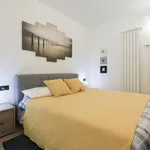 Rent 1 bedroom apartment in Milan