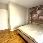 Rent 3 bedroom apartment of 77 m² in Rzeszów