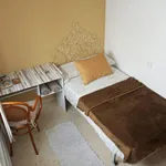 Rent 4 bedroom apartment in Alicante