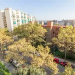 Rent a room in barcelona