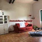 Rent 4 bedroom house of 90 m² in Velletri