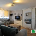 Rent 1 bedroom apartment of 30 m² in Gliwice