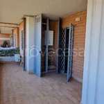 Rent 3 bedroom apartment of 80 m² in Pomezia