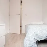 Rent a room in madrid