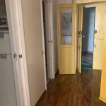 Rent 1 bedroom apartment of 60 m² in Milano MI