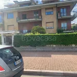 Rent 3 bedroom apartment of 40 m² in Cuneo