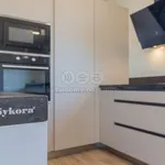 Pronajměte si 1 ložnic/e dům o rozloze 210 m² v Veselí nad Lužnicí