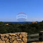 Rent 2 bedroom apartment of 50 m² in Olbia