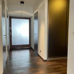 Pronajměte si 1 ložnic/e byt o rozloze 95 m² v Prague