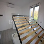 Rent 2 bedroom apartment of 58 m² in Monza