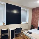 Rent 1 bedroom apartment of 45 m² in Brno