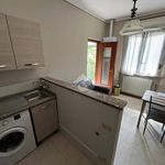 Rent 2 bedroom apartment of 40 m² in Novara