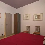 Rent 2 bedroom apartment of 45 m² in rome