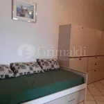 Rent 2 bedroom apartment of 50 m² in Roma